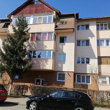 Studio Acasa Sibiu Dış mekan fotoğraf