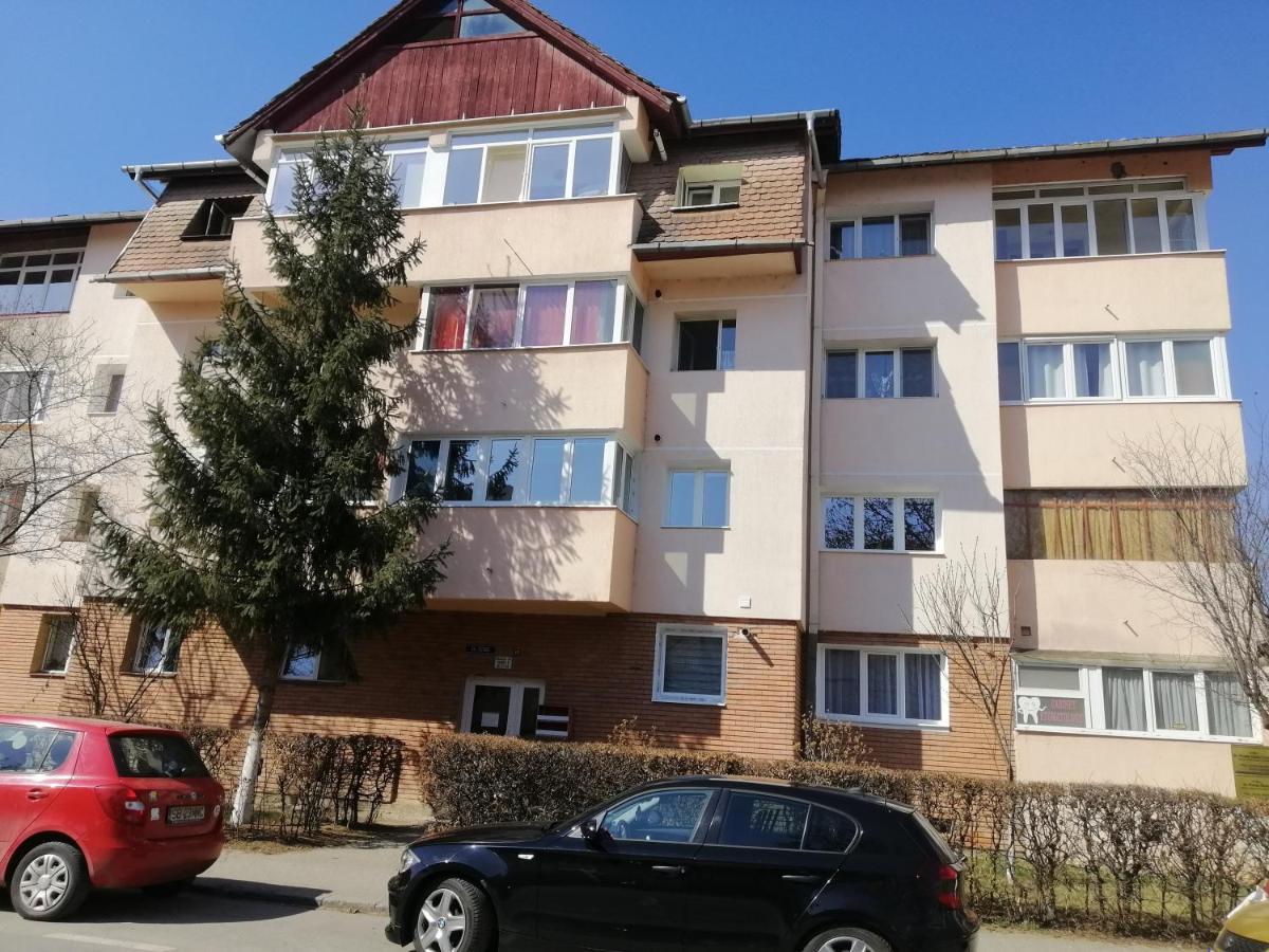 Studio Acasa Sibiu Dış mekan fotoğraf